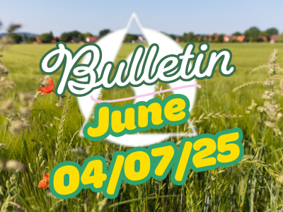 Bulletin July 4th